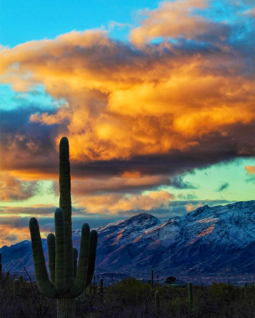 totallytucson's tweet photo. Capturing the essence of #Tucson: Repost from @cdkeppel IG
Fire and ice . @darbstim IG #alwaysadventuring #wheretucsonruns @VisitTucsonAZ https://t.co/fgtu1EE7HY