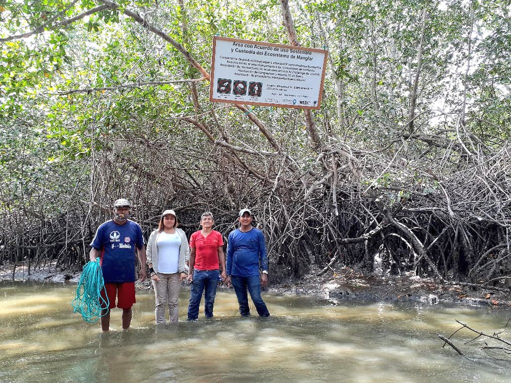 MAATE_Zonal7's tweet photo. La actividad se realizó con la asistencia técnica del Proyecto Red de #AMCP, con el apoyo y acompañamiento del @PrefecturaElOro, GAD Municipal del cantón Huaquillas, Policía Municipal de Huaquillas, @armada_nacional y la Reserva Ecológica Arenillas. https://t.co/siWI9gOlad