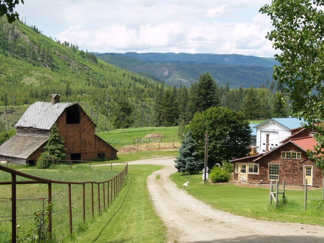 FarmZillaClass's tweet photo. Hay farm ,house, shop, barn, hay shed, fenced, exc. water, 154 acre. #farm #hayfarm #homeforsale #landforsale #realestate #bchomes #bcfarms.
https://t.co/qoe02BU01x ☎ https://t.co/FWYc8y8TWg