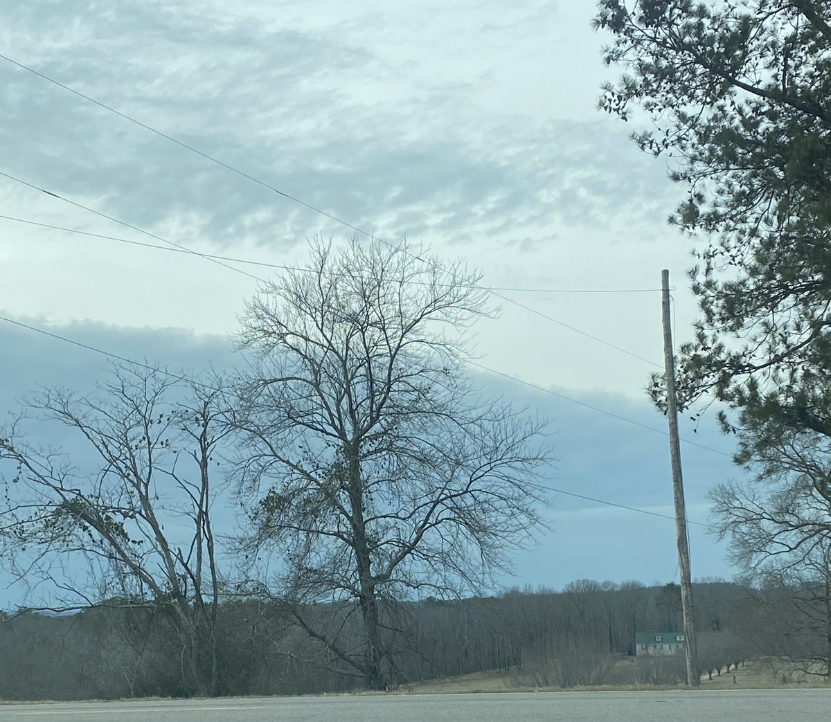 KatlinSB042091's tweet photo. @spann  Beautiful sky in Northport AL this afternoon! https://t.co/KwO9MM7MUY