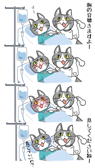 #現場猫 #看護師
僕の言い方が悪かったよ。 