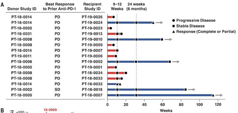Diwakar Davar, M.D. (@diwakardavar) on Twitter photo FIH trial of #FMT to treat PD-1 refractory melanoma published @Science illustrating power of team science to make novel discoveries. Work led by @HassaneZarour and @GiorgioTrinchieri. Funded by <a href="/theNCI/">National Cancer Institute</a>, <a href="/Merck/">Merck</a> and <a href="/CureMelanoma/">Melanoma Research Foundation</a>. #immunoOncology #microbiome FIH trial of #FMT to treat PD-1 refractory melanoma published @Science illustrating power of team science to make novel discoveries. Work led by @HassaneZarour and @GiorgioTrinchieri. Funded by <a href="/theNCI/">National Cancer Institute</a>, <a href="/Merck/">Merck</a> and <a href="/CureMelanoma/">Melanoma Research Foundation</a>. #immunoOncology #microbiome