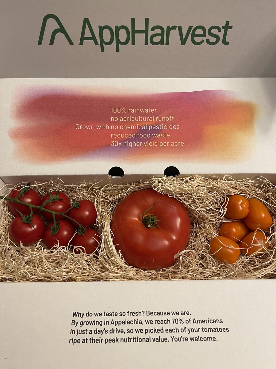 BradKTEC's tweet photo. Nothing better than having meetings with friends and they bring a little something they grew in their garden🍅  @AppHarvest #KentuckyGrown #CooperativelyPowered⚡️ https://t.co/AeKd4rWHDC