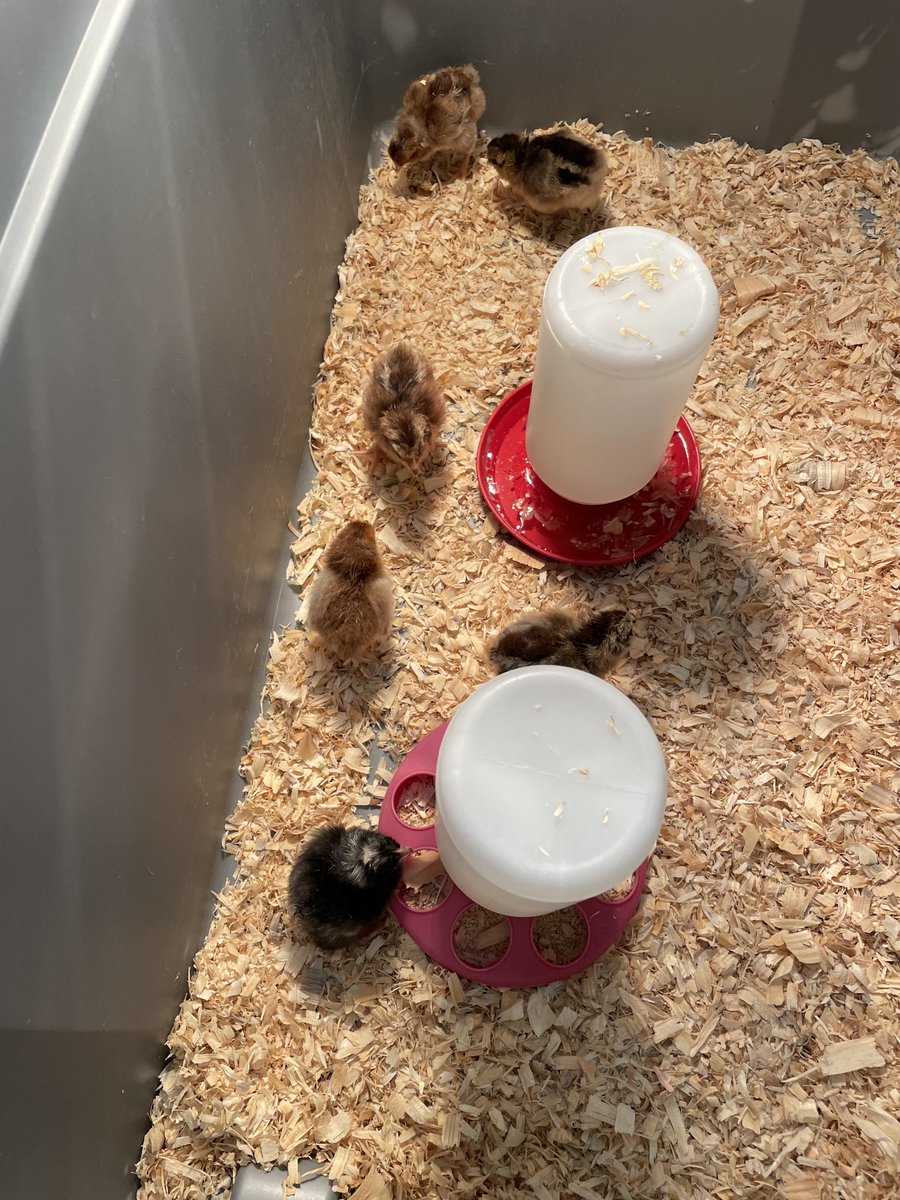 Rich Booth tweet media