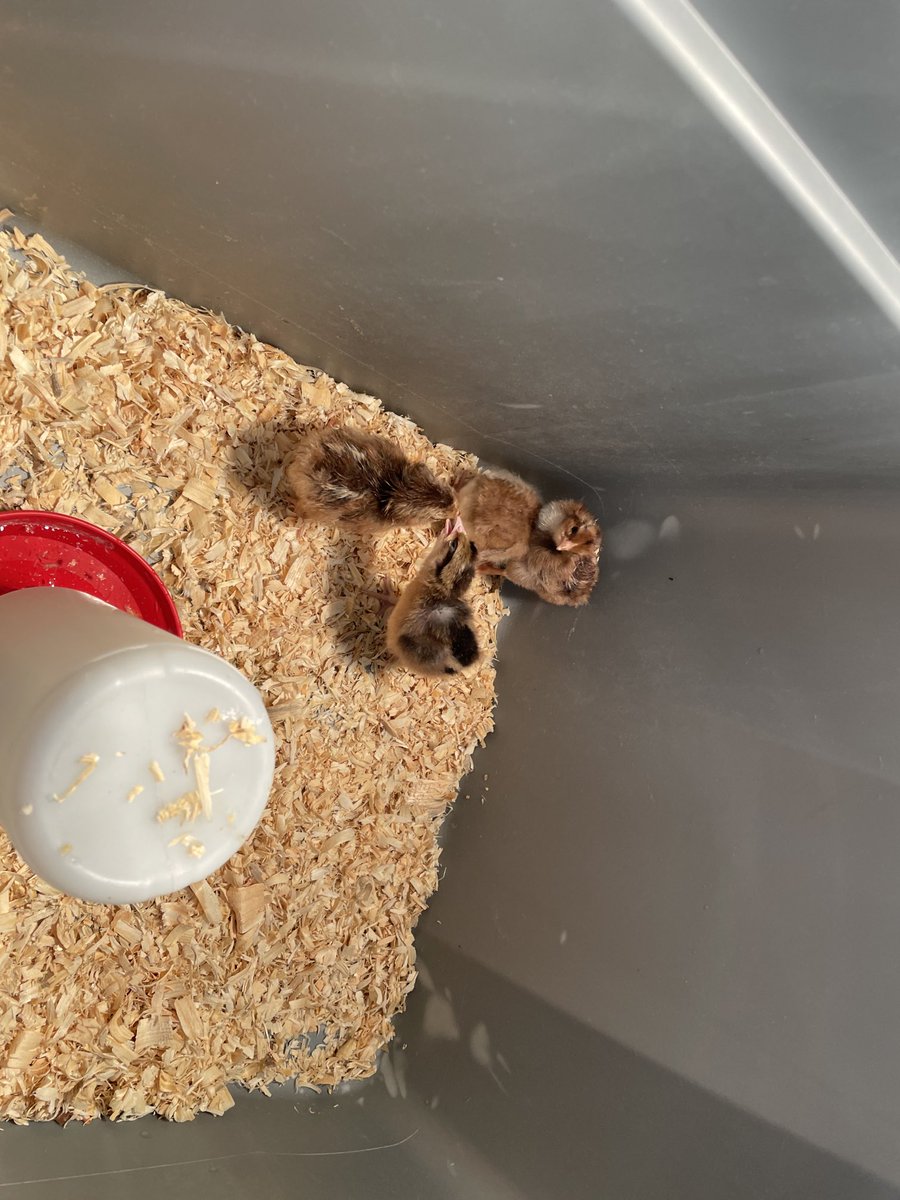 Rich Booth tweet media