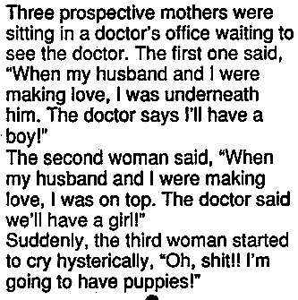 BikerHumor's tweet image. 