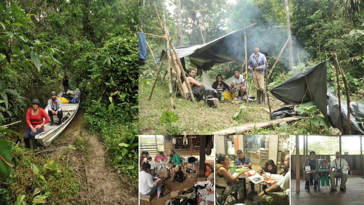 Luego tuve la fortuna de conocer personas maravillosas que querían aprender a pajarear en su territorio, así que nos dimos a la tarea de conocer un poquito de ese paraíso tan afectado y olvidado, así q les pude transmitir un poquito de lo bien poquito que sabía   #CitizenScience