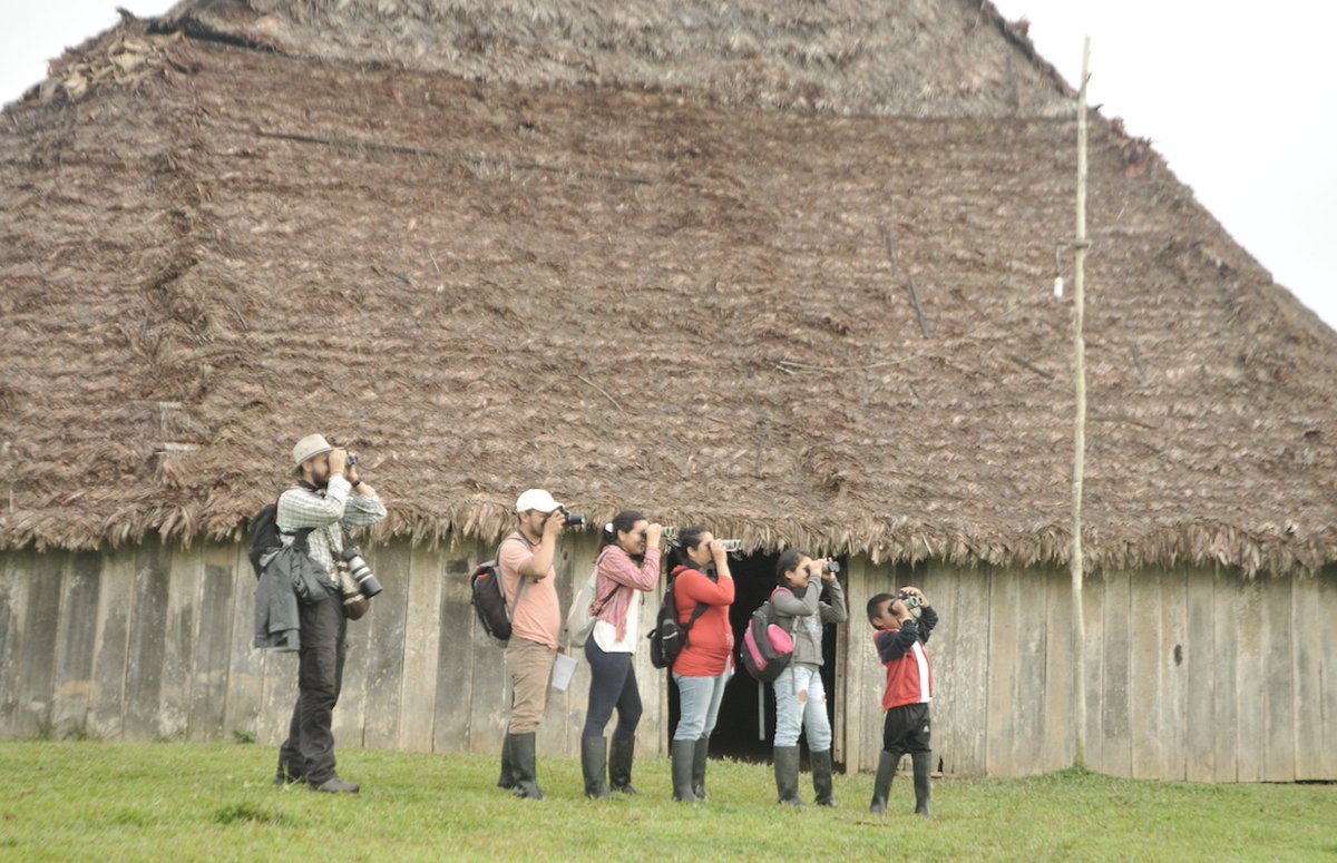 Luego tuve la fortuna de conocer personas maravillosas que querían aprender a pajarear en su territorio, así que nos dimos a la tarea de conocer un poquito de ese paraíso tan afectado y olvidado, así q les pude transmitir un poquito de lo bien poquito que sabía   #CitizenScience