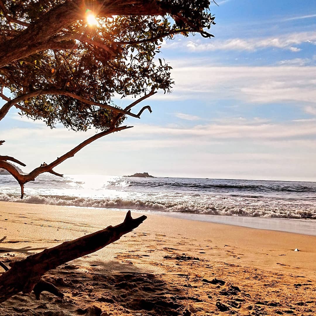 VisitIZ's tweet photo. Las cosas más simples a menudo son las más reales.
¡Desde la joya del pacífico #IxtapaZihuatanejo, disfruten su tarde de jueves!
📸 @avenamar_ca
#ThisIZit #VisitIZ #Guerrero #AsíEsGuerrero #NowIztheTime #playaquieta #jueves #sol #olas #mar #arena #goodvibes #happy #simplelive https://t.co/iTAQk2orkR