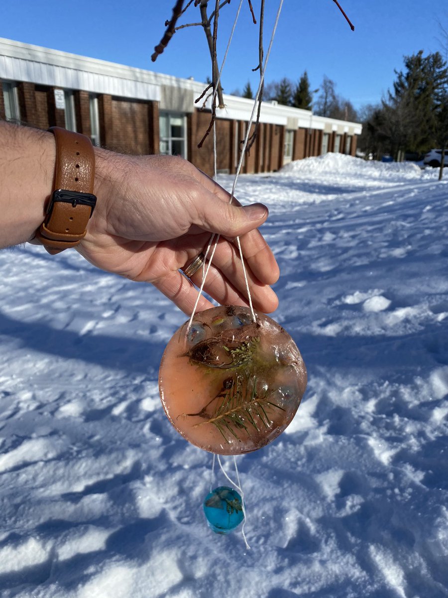 SteveSherlock21's tweet photo. Centennial ACE students completed a very cool art activity today! Creative ice-suncatchers! Today’s sun shone beautifully on them! @cnw_wrdsb @wrdsb https://t.co/iVIe4hIkmb