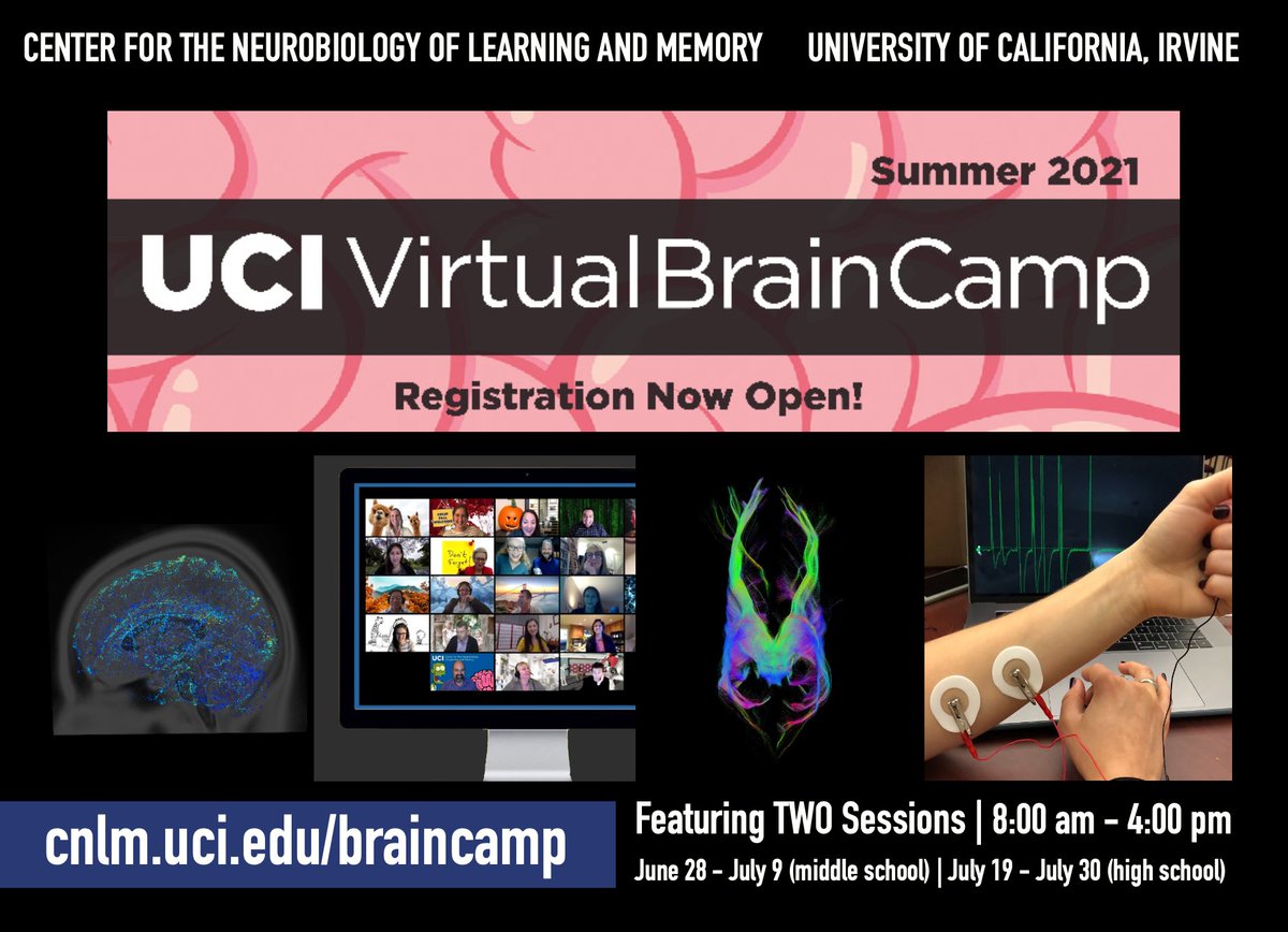 🧠 The CNLM continues to foster curiosity about neuroscience in a virtual format during the COVID-19 pandemic 📚 
Registration now open! ⤷ Visit, 🔗cnlm.uci.edu/braincamp