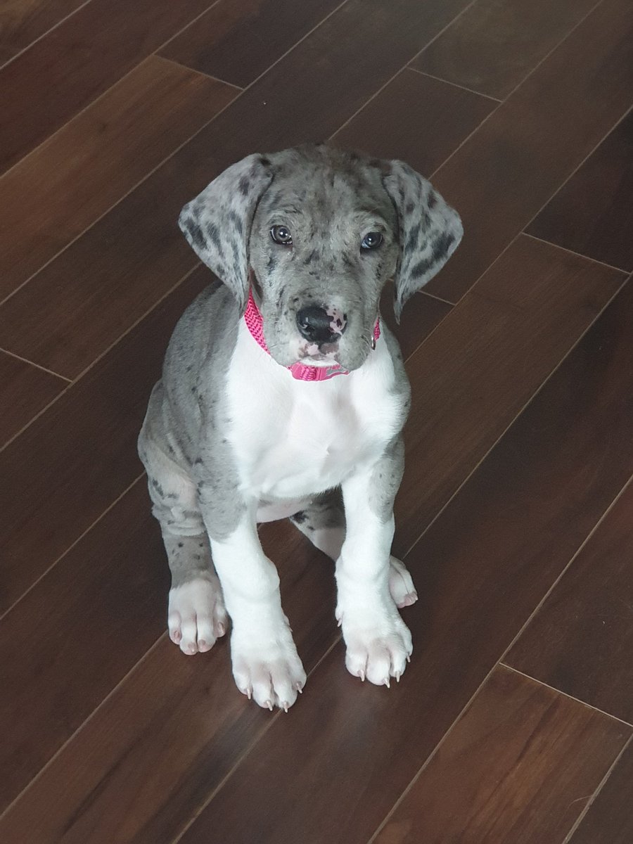 WorldsBestFan tweet media