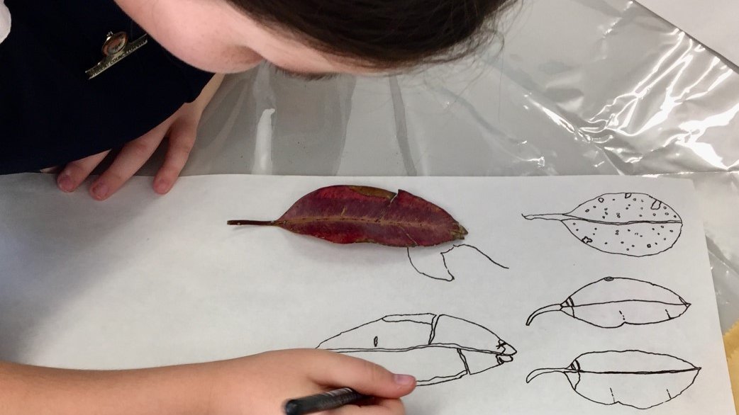 thesongroom's tweet image. Ready for #TermOne✅Well done teachers, we're getting back into the swing of things now!

Bring lessons to life to life via #thearts this term - teach students about biology with #visualart, have them write a song about a historic event, or create a play.

bit.ly/3rniE6a