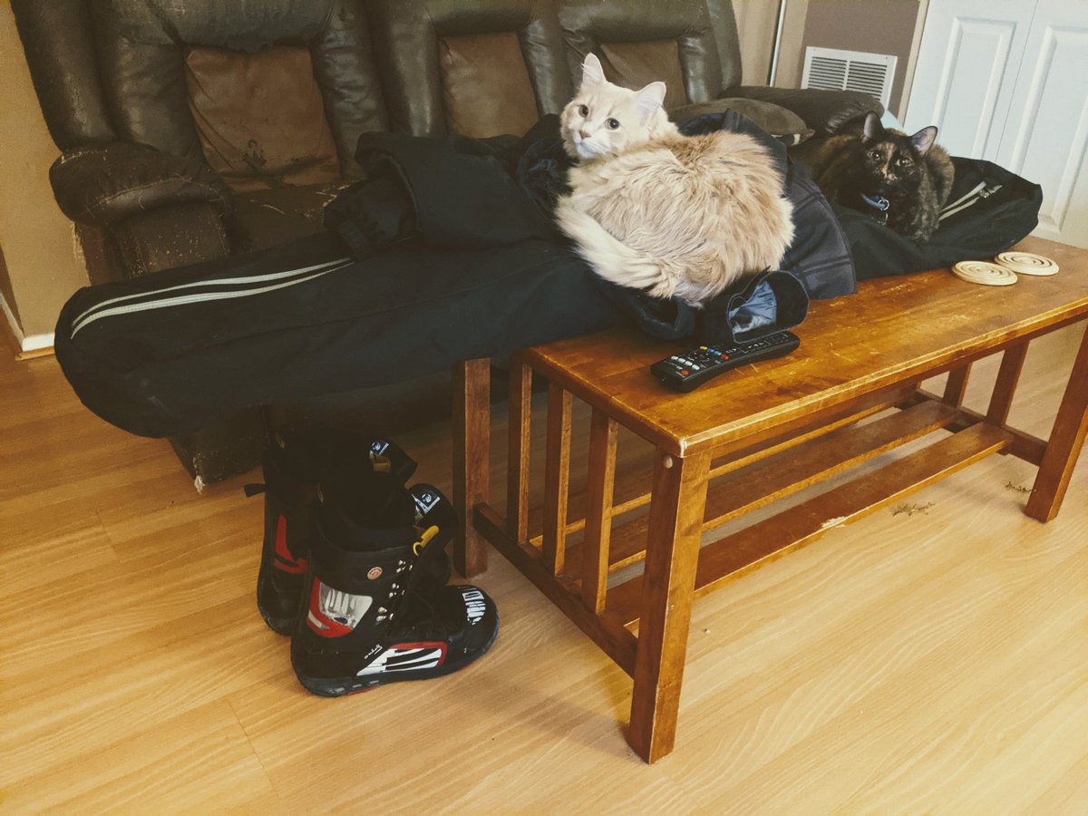 It's cool, of course I put all my gear there for you to lay on, I didn't really wanna go snowboarding anyway