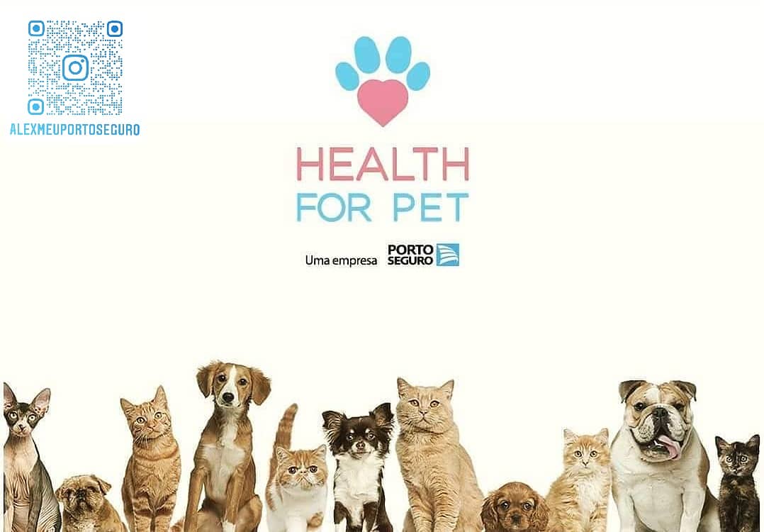 ElianeS09445926's tweet photo. Plano Health For Pet Porto Seguro a tranquilidade e segurança que seu melhor amigo precisa.
Acesse; https://t.co/hhECjT14hX e saiba mais, é rápido, fácil e on line.
#projetomeuportoseguro
#meuportoseguro
#healthforpets
#pets
#saúdeanimal
#consultaspets
#veterinaria https://t.co/1SnIPTluz6