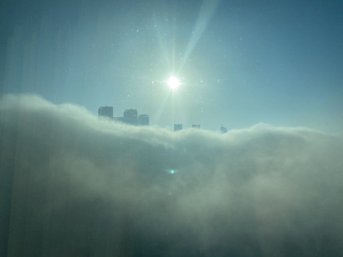 Mads Davidsen tweet media