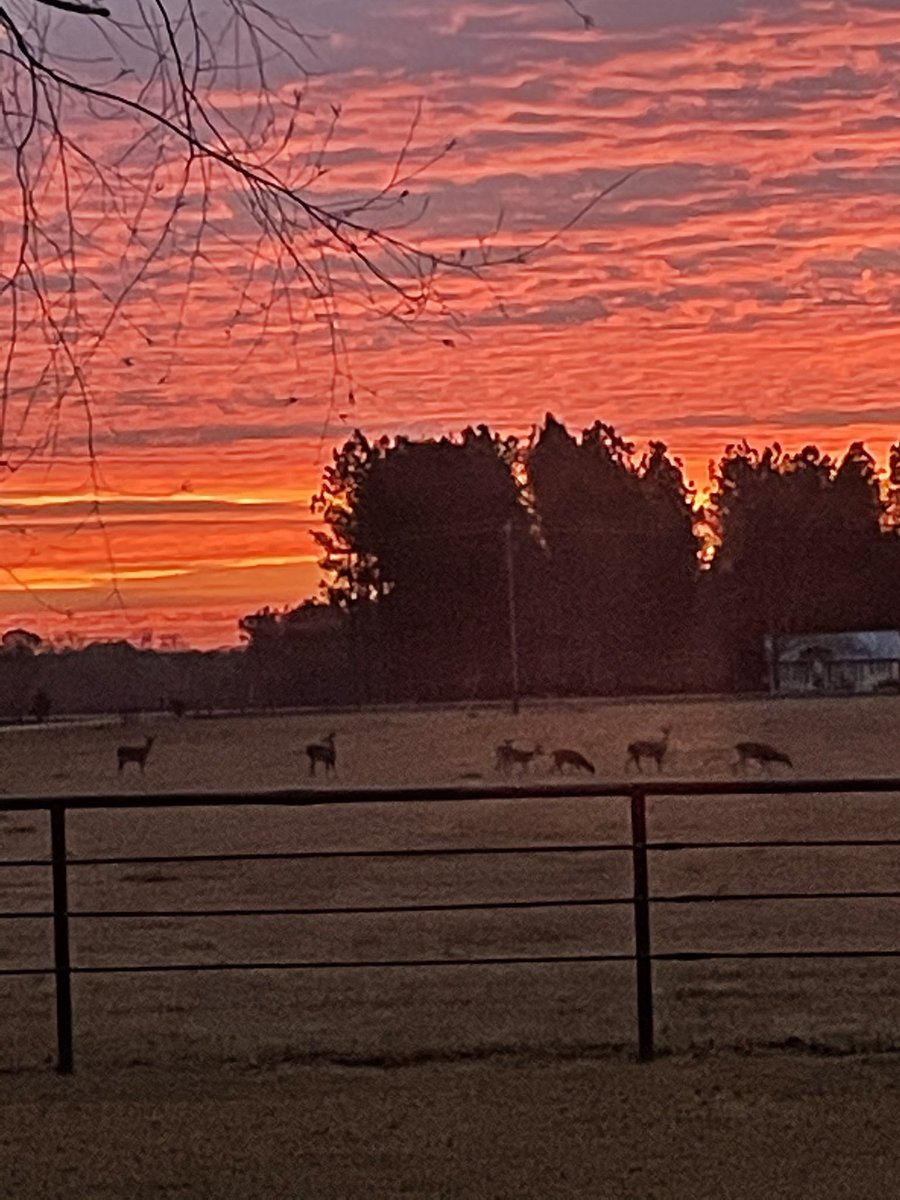 BOONEROCKY's tweet photo. My view out my kitchen window this morning. No comment needed. #blessed https://t.co/6rU7SOIw61