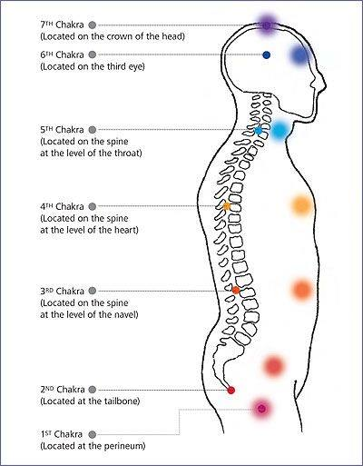 There are 7 important chakras given here.Kundalini is dormant energy that is lying at the Mooladhara chakra. Many meditation practices attempt to free this energy. When it finally reaches crown chakra (Sahasrara), it's called a union of God & Goddess, Shiva &Shakti #meditation