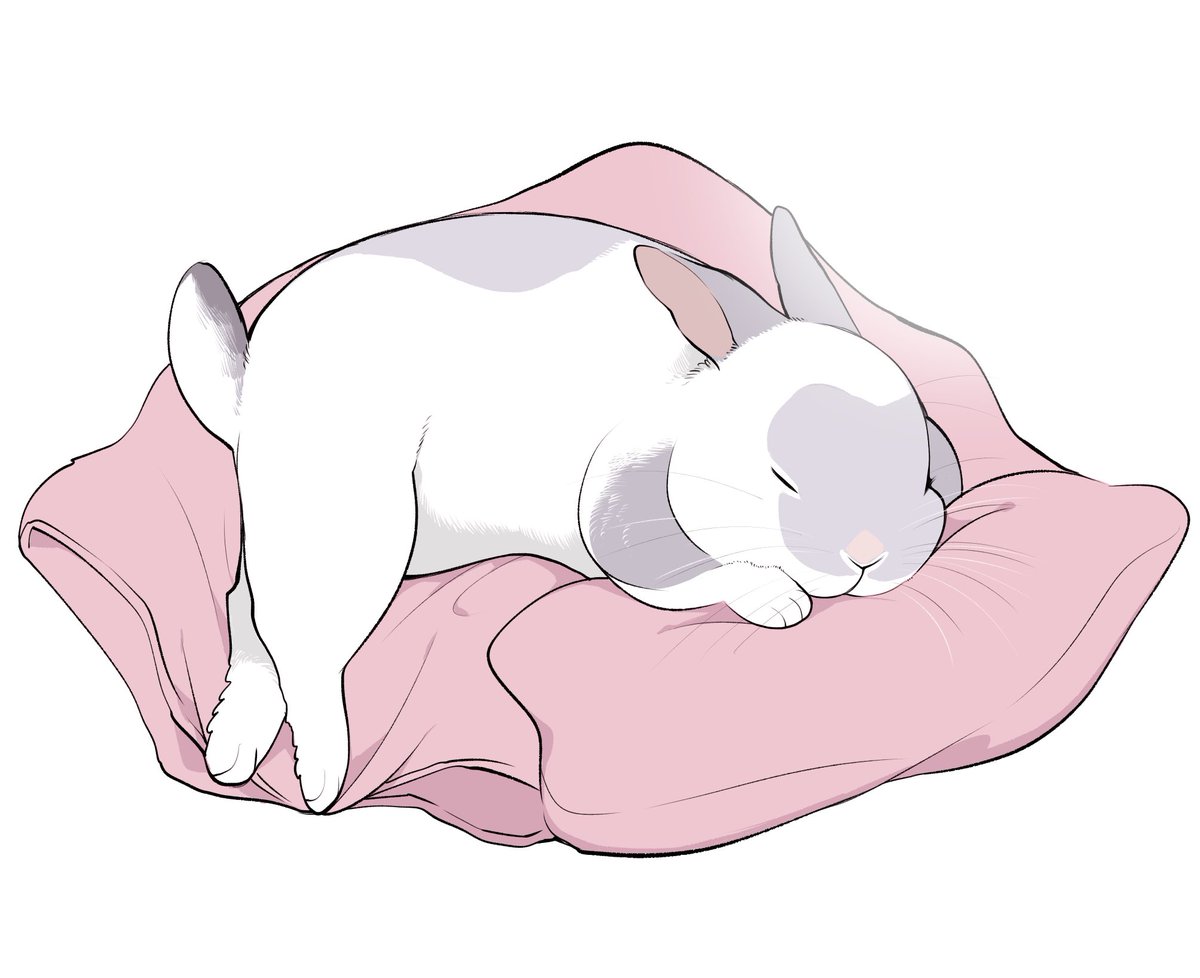 「うさぎのふわやかな寝顔がうさぎ飼いの最高のしあわせ 」|井口病院🐰🍅🐡のイラスト