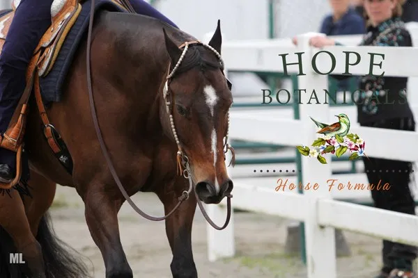 HorsesSaves's tweet image. Thank you Hope Botanicals, LLC for donating CBD pellets and CBD salve for our rescue horses and for the Silent Auction &amp;lt;3
hopebotanicals.com/horses/