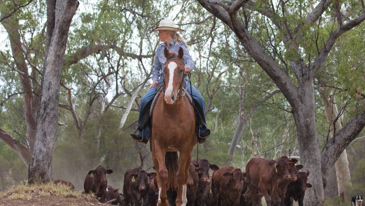 Great article this week from <a href="/FarmOnline/">FarmOnline</a> about how domestic regulation will impact the beef industry across Australia.
Read online now: buff.ly/3toJZGS
#CertifiedOrganic #Organic #AustralianBeef #DomesticRegulation