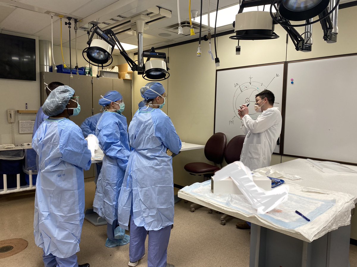 KMallettMD's tweet photo. Awesome Basic Science throwback to trauma quarter today with @BrandonYuanMD - we are so lucky to dedicate time in the lab to approaches, dangers, and fixation strategies. Can’t wait to get back to fixing #pilons again! 🔨 @MayoOrthoRes @AONorth #orthotwitter #mayotrained https://t.co/lChralCGM8