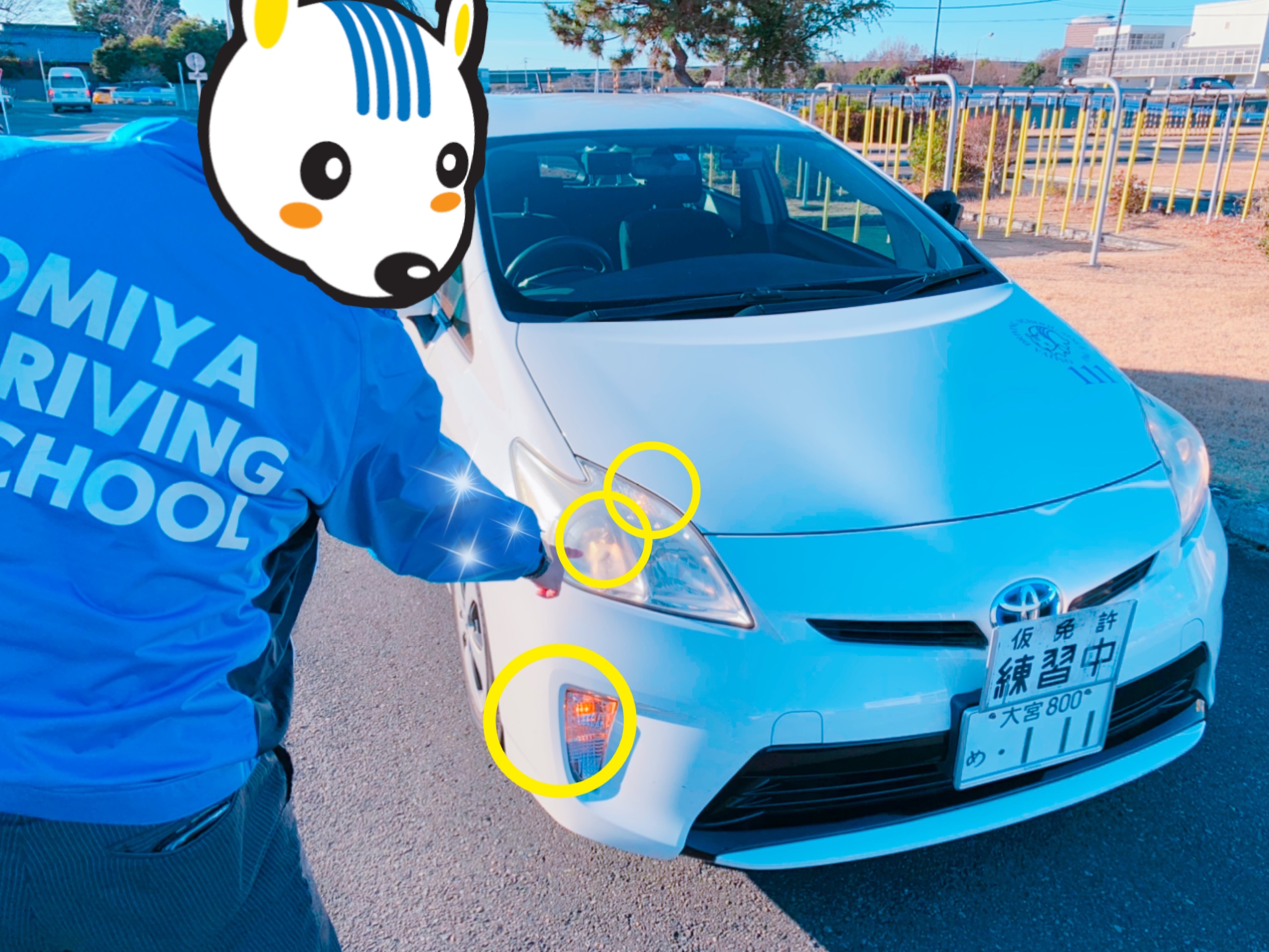 大宮自動車教習所 埼玉県 1号車 ライトの点検で見て欲しい部分をキラキラ指導員に指差ししてもらいました 指差しすると手がキラキラしちゃうイケメン指導員さんなんです 車幅灯 前照灯 方向指示器 尾灯 制動灯 後退灯 番号灯 ライトは自分の