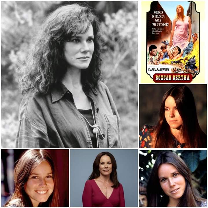 Happy Birthday. Barbara Hershey.  February 5th 1948, (73). 