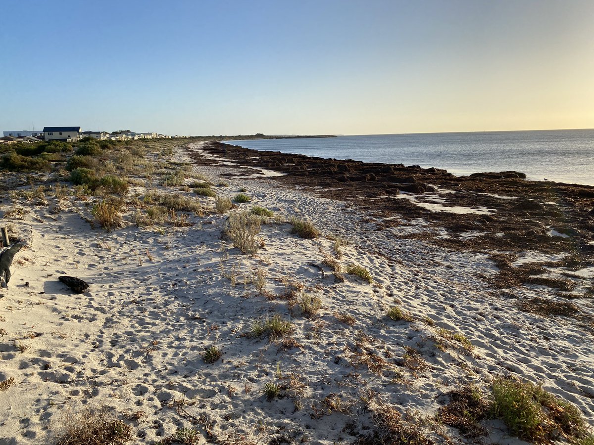 DavidEvans_59's tweet photo. Life on the road has its perks. You get to see beautiful places like #ArnoBay on #EP. Cheers to new @GrainGrowersLtd member @PrimeCaleb for your hospitality https://t.co/nr0nvMj5wP