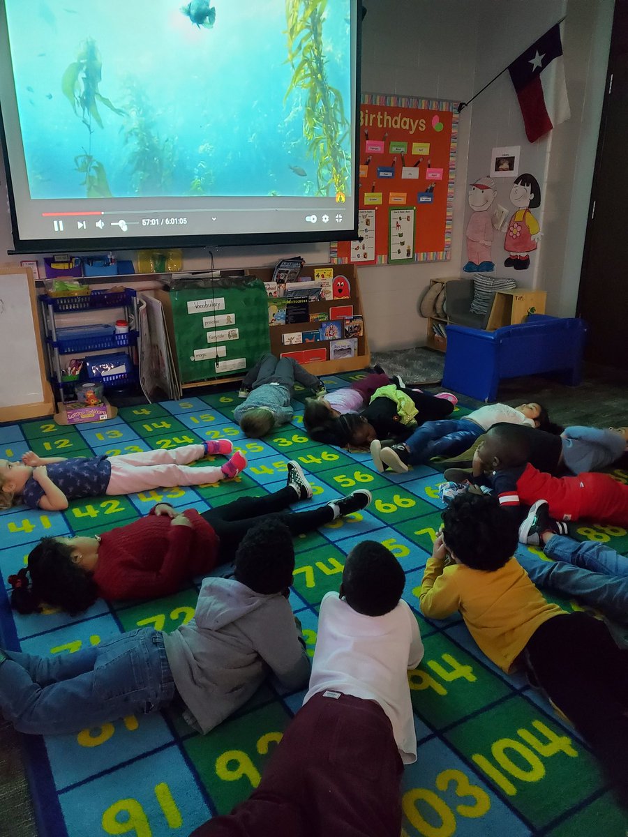 DuirdenJennifer's tweet photo. Sometimes you just need a minute to relax and watch the fish. @HumbleISD_HE https://t.co/ompRRp59bB