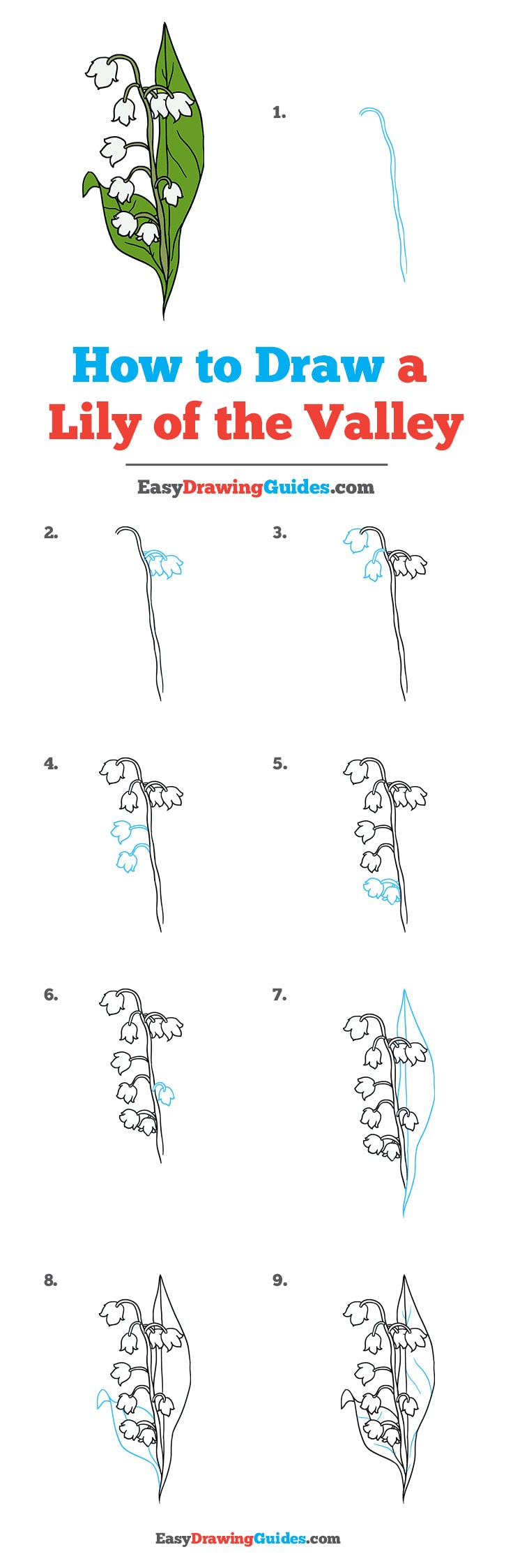 How to Draw a Lily  A Step-by-Step Tutorial for Kids