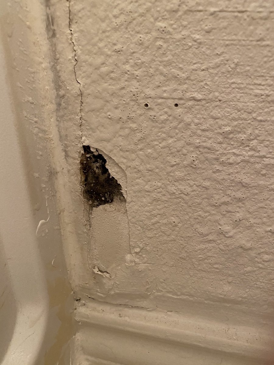 court_hami's tweet image. When the environmental manager for FHFH looks at a mother who is in tears with sick children and tells her they have no reason to test for mold, you know things have not and will not change here @forthood. #wedeservebetter