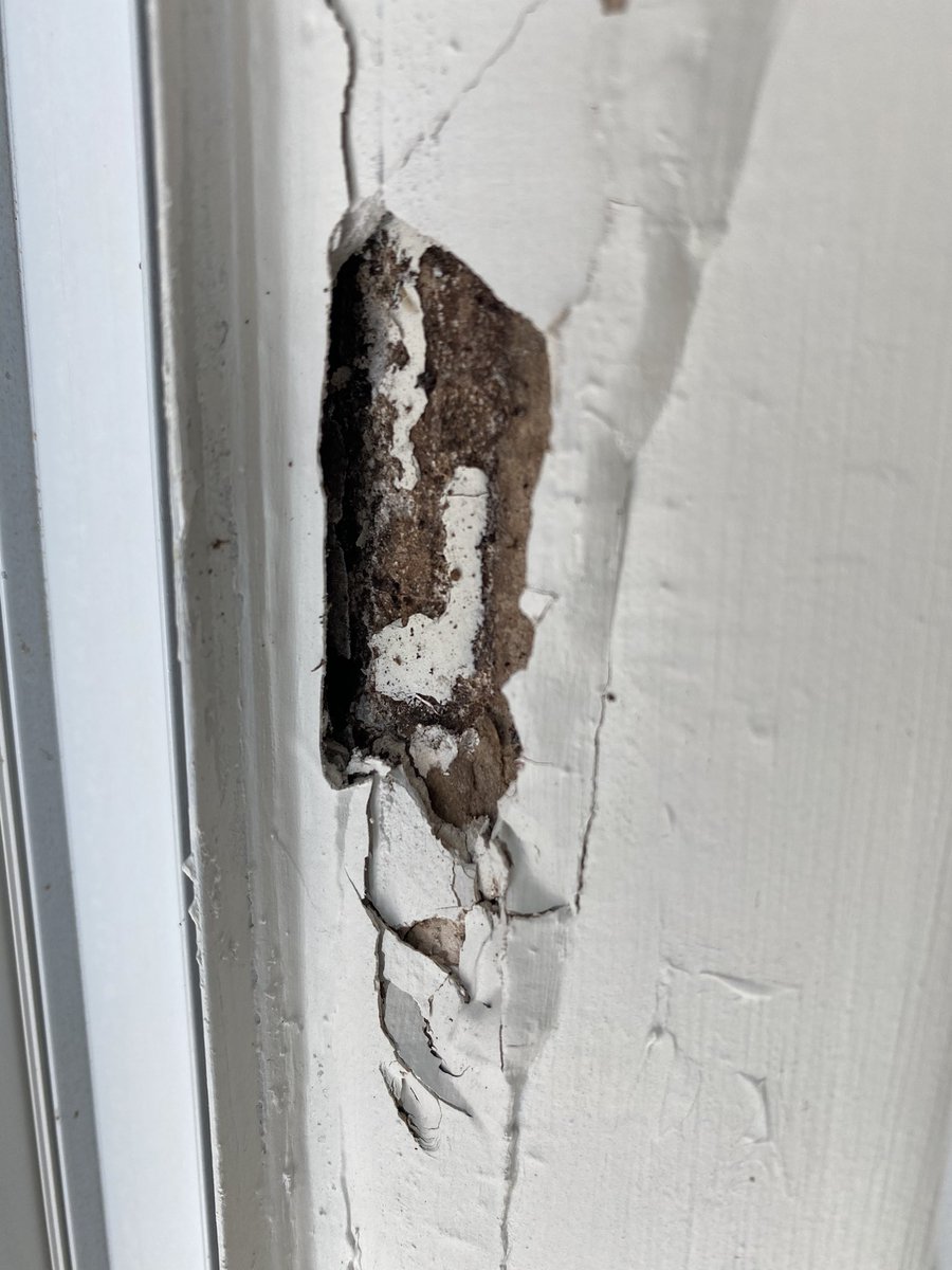 court_hami's tweet image. When the environmental manager for FHFH looks at a mother who is in tears with sick children and tells her they have no reason to test for mold, you know things have not and will not change here @forthood. #wedeservebetter