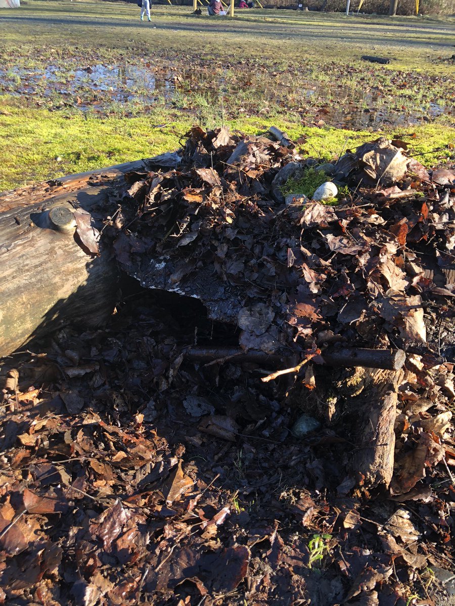 K-3 PBE Blurp Project - Week Four: What does your Blurp eat?  Is is an omnivore, herbivore, or carnivore? How does it know if the food it finds is safe to eat?  Lots of creative problem solving going on as we scouted for food and added to shelters #sd33learns