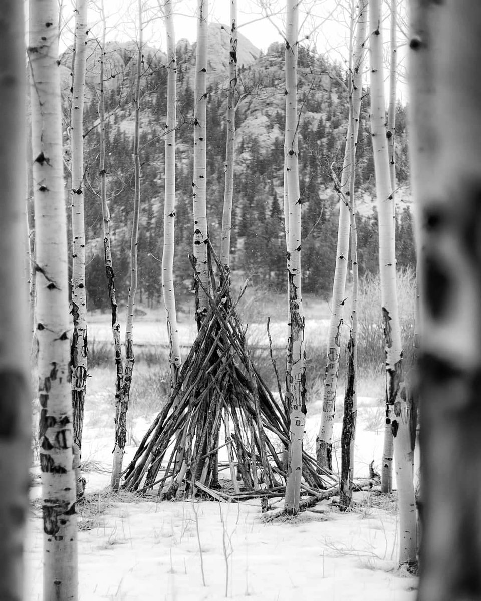 annakoberg's tweet photo. In the woods, by the shore. 
\\
#rmnp #lilylake #photography #photowalk #landscapephoto #bnw #bnw_places #bnw_landscape #bnw_nature #blackandwhitelandscape #landscapephotography #naturelover #naturalcolorado #naturephotography #coloradoscenes https://t.co/a4U0Lyg7r3