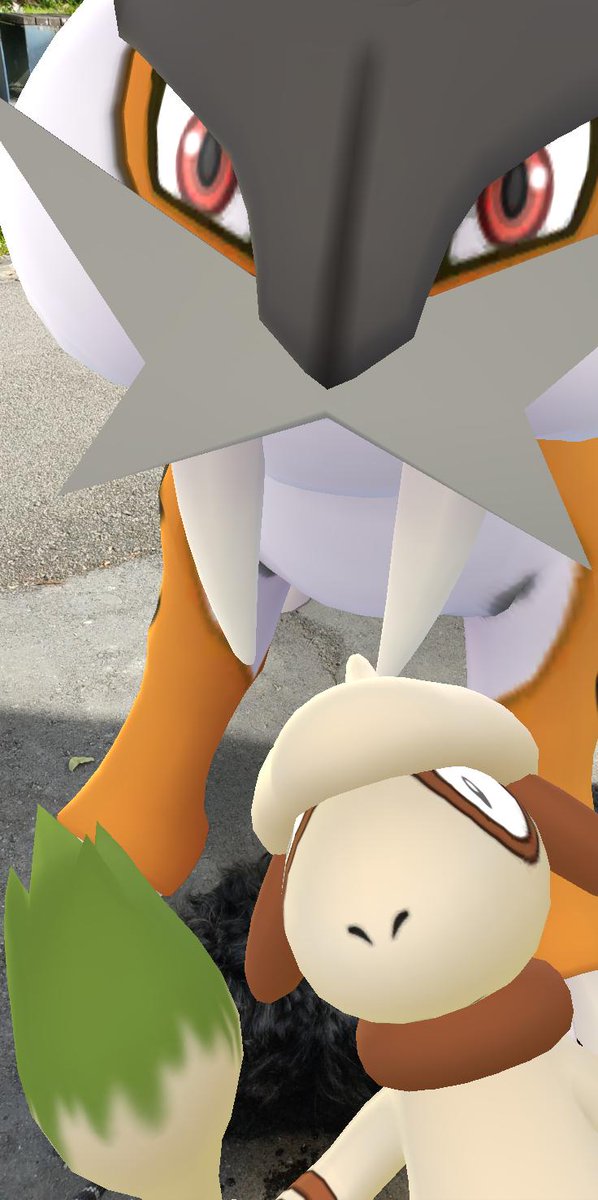 黒い犬ollieとシンガポール暮らしでポケモンgo على تويتر 朝の散歩コースの水飲み休憩 ライコウさんと写真撮影 昨日の目の中に入った毛の事を愚痴ってたら 子供にオリーは悪くないよ と窘められた ポケモンgo シンガポール 黒い犬 黒い犬ollieとシンガポール暮らしでポケモンgo على تويتر 朝の散歩コースの水飲み休憩 ライコウさんと写真撮影 昨日の目の中に入った毛の事を愚痴ってたら 子供にオリーは悪くないよ と窘められた ポケモンgo シンガポール 黒い犬