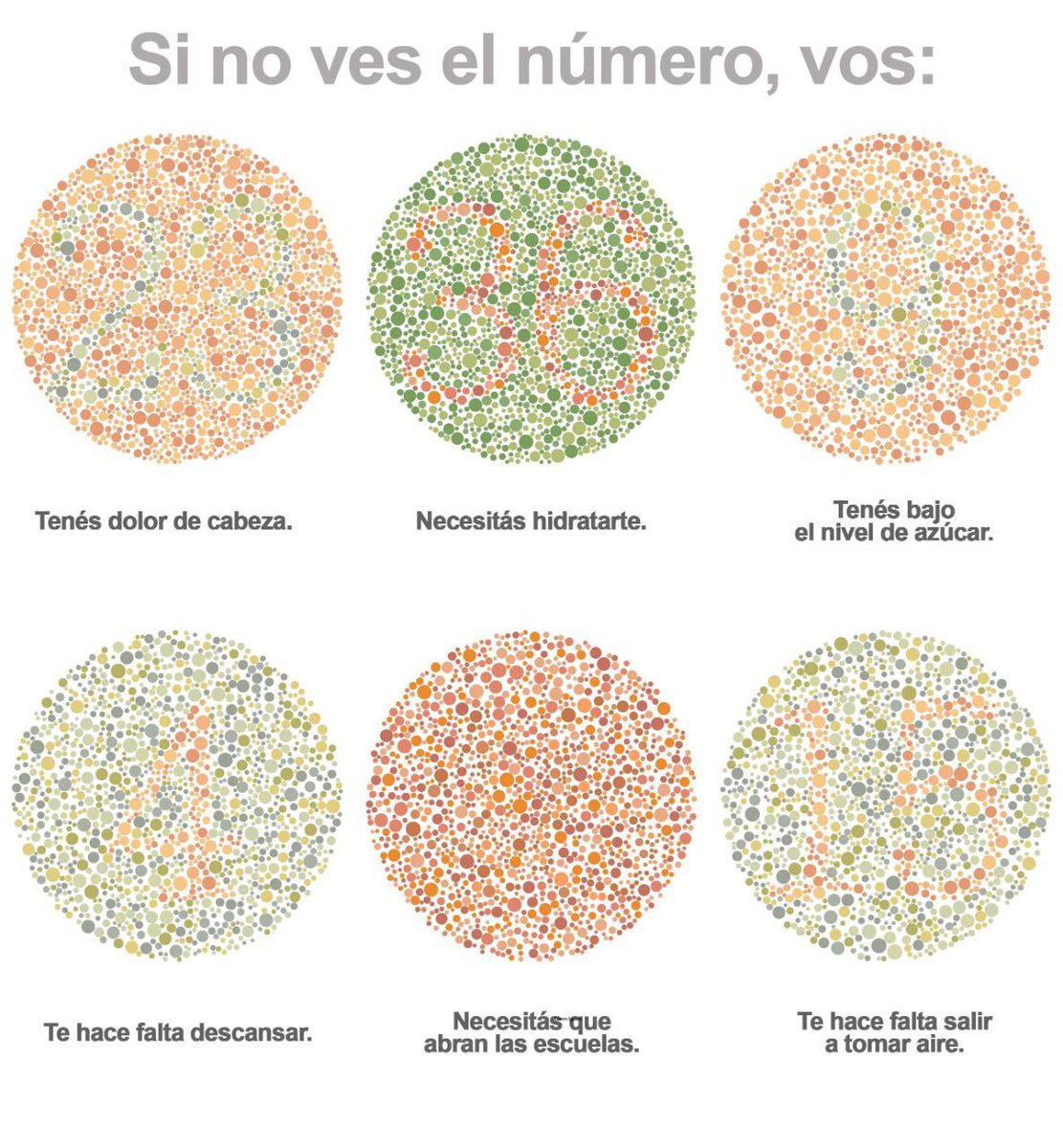 PRO (@proargentina) on Twitter photo 