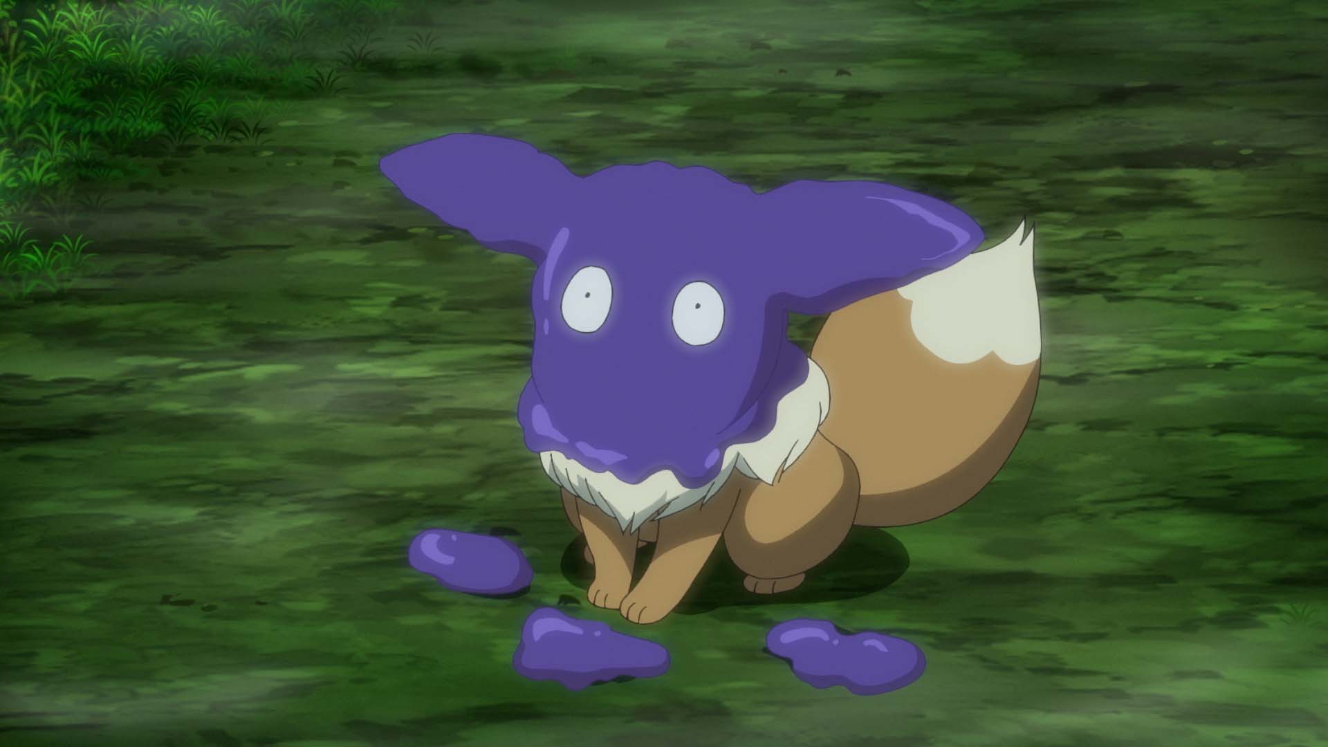 ট ইট র 公式 プロジェクトイーブイ 続 このポケモンは コハルの イーブイ イーブイ に何が起こったのかは 来週 2月12日 金 よる6時55分からテレビ東京系にて放送予定のアニメ ポケットモンスター をチェックしてね T Co