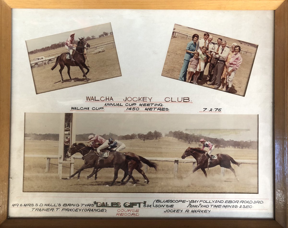 Walcha Cup today... this still hangs proudly in the shop, some 46 years on ... Best of luck to the Walcha Jockey Club for a successful Cup meeting today #countryracing