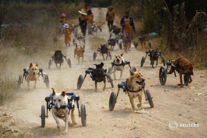 Reuters Pictures tweet media