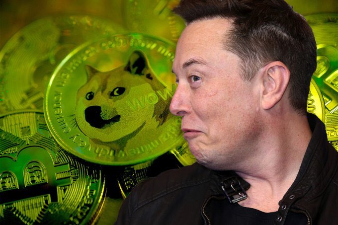 Does <a href="/elonmusk/">Elon Musk</a> Thinks Of Africa ? Maybe I Should Be Of 1st To Get Helped From Him. Sir Let Me Testify #DoGe $DOGE #CRYPTO 📊 

D6Q6vbabTmbyfUEmnwdsvoLgAzoyRhQ3GY