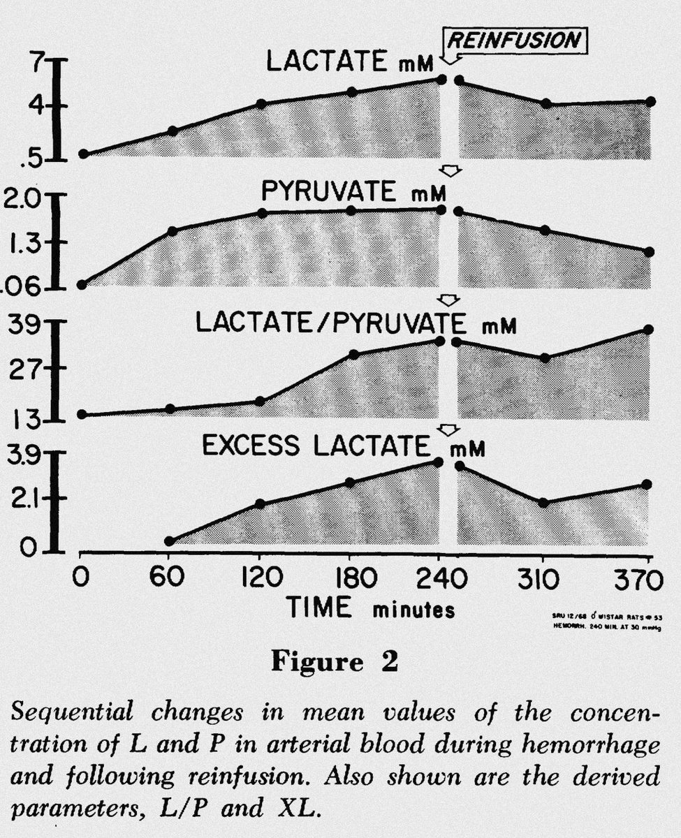 Back in 1958, Huckabee observed the relationship between "oxygen debt" and "excess lactate", plotting almost superposable curves from the relationship of them.Then in 1970, Weil further supported this data w/ a  hemorrhagic shock model in which  again correlated w/ O2 debt