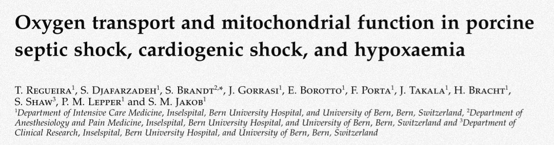 Furthermore, in 2012 Regueira et al. used 32  w/  peritonitis,  tamponade or hypoxemic hypoxia, demonstrating no increase in HIF-1α (hypoxia-inducible factor 1 alpha) in septic animals despite a 2x  in lactate levels!