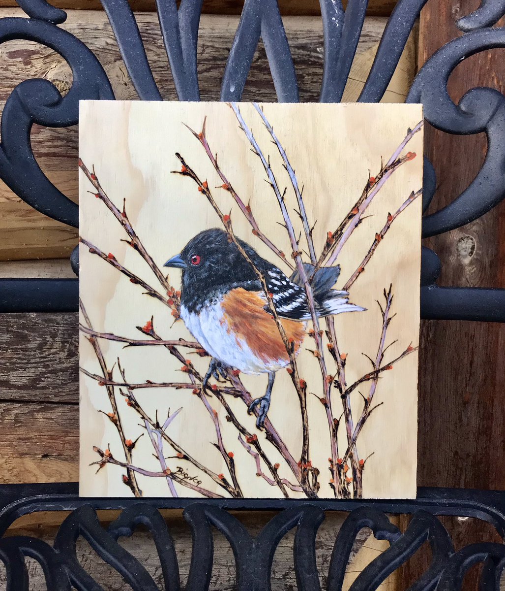 This is my second attempt at pyrography and feeling happy with the results.  I really enjoy, ‘ filling in the blanks’ with colour! 😃

#paintedbirds #spottedtowhee #woodburning #okanagan #pyrography #biancacraigart #artist #okanaganartists  #woodpanels #bcwildlife #osoyoos