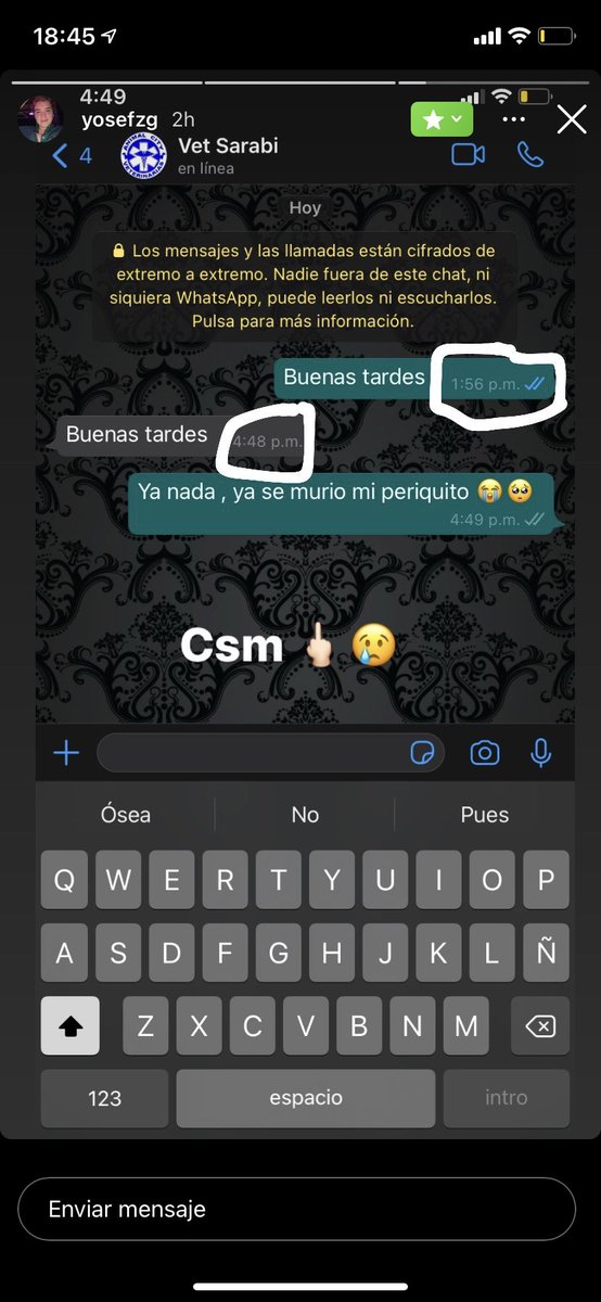 PaulinaUrruchua's tweet photo. acompáñenmee a ver esta triste historia de @YosefZavala https://t.co/0Y660YAmGW