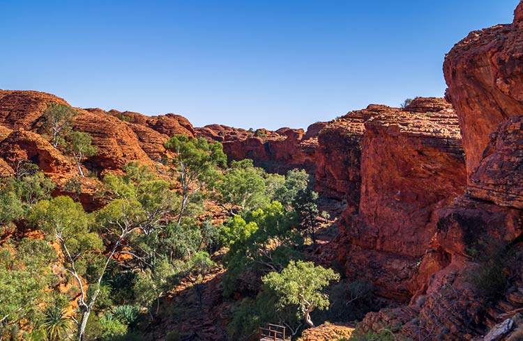 There's never been a better time to head to the stunning Red Centre and cross NT off your bucket list!

travelinsurancedirect.com.au/blog/discover-…