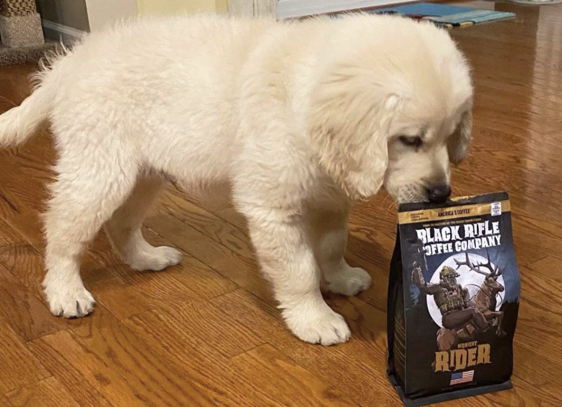 blckriflecoffee's tweet image. Just Retweet Please!  #brcc #americascoffee #dogsofblackriflecoffee