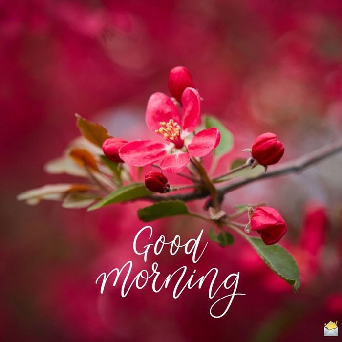 CdcdIraq's tweet image. 