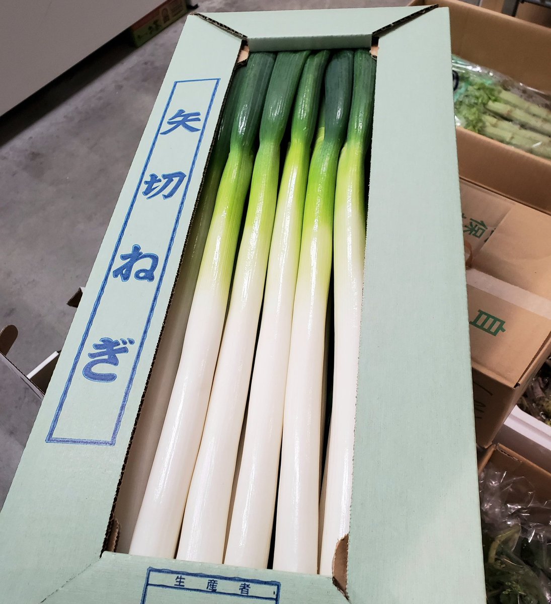 地団カード（地域団体商標カード）　矢切ねぎ 地団カード（地域団体商標カード） 矢切ねぎ INPIT］地域団体