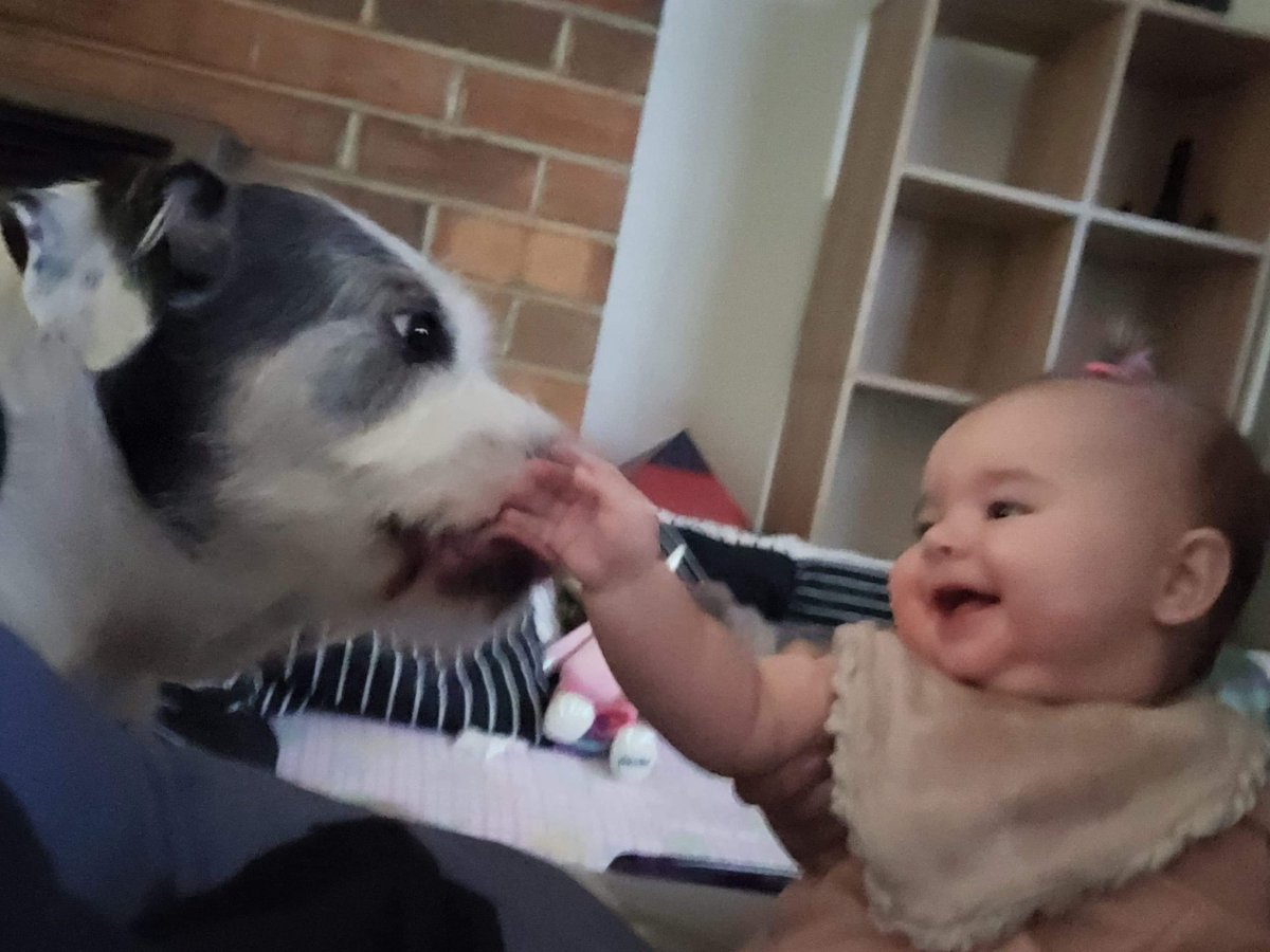 Delilah and her best friend boof